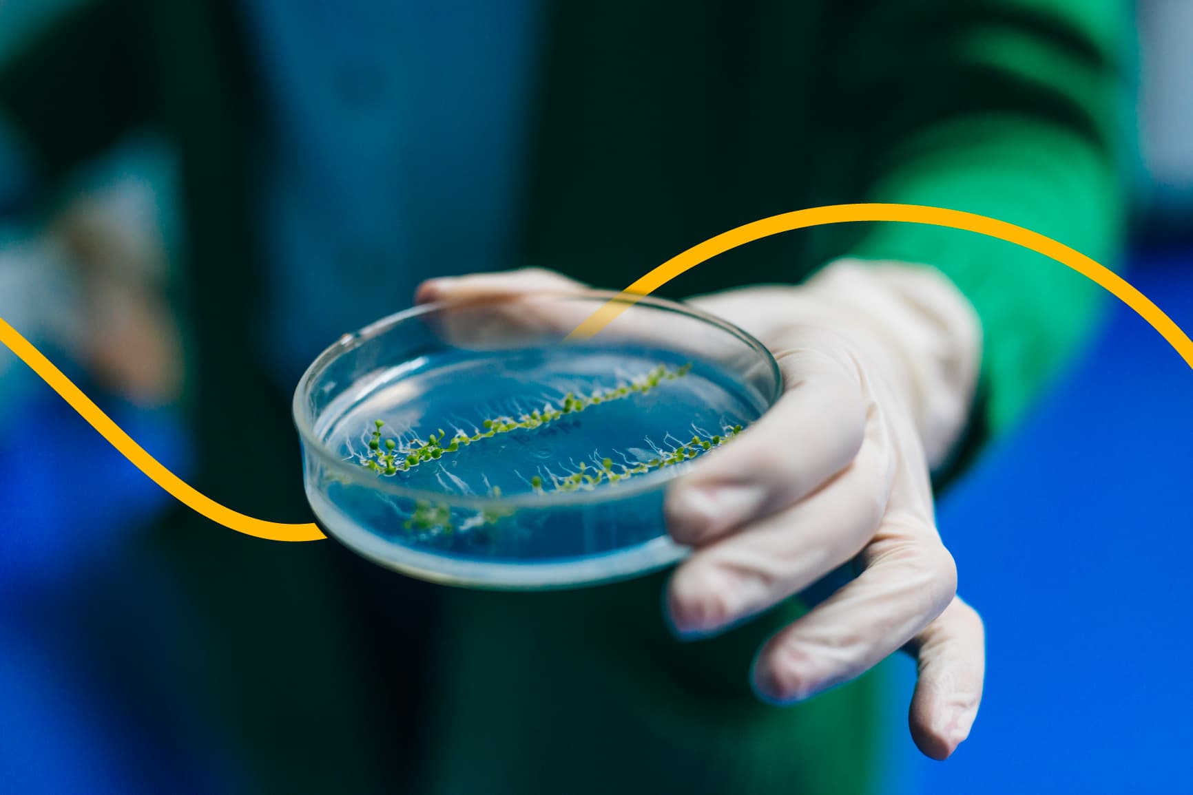OnFoods: il partenariato PNRR sulla sostenibilità alimentare